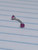 16g Silver Stainless Fuchsia CZ 5/16 Eyebrow Ring B4114