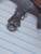 14g Silver Rhinestone Flower Belly Ring B4124
