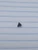 14g Black Stainless 4mm Spike External Top B2161