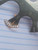 14g Rose Gold CZ Curved 3/8 Belly Ring B0454