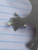 14g Silver White Opal Curved 3/8 Belly Ring B0153