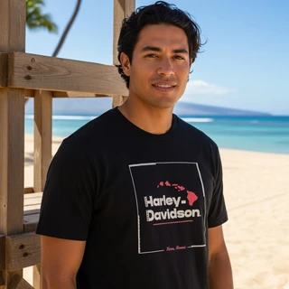 Harley-Davidson Men's Squared T-Shirt in Black displaying framed island chain graphic print
