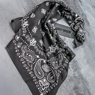 Harley-Davidson Men's Factory Racing Team T-Shirt