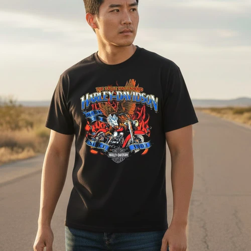 Harley-Davidson Men's Eagle Landed T-Shirt in Black displaying bald eagle and flames motorcycle graphic