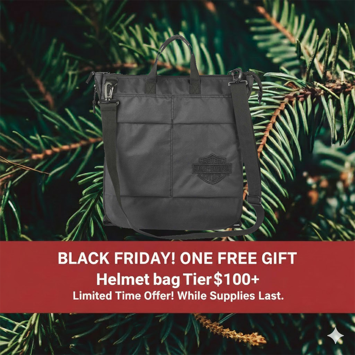 Black Friday & Cyber Monday: FREE GIFT WITH PURCHASE Event!