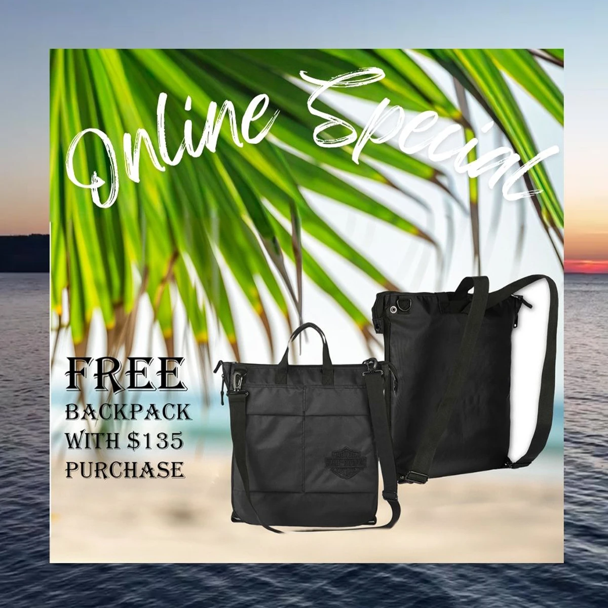 Spend $150 or more to unlock Free Shipping alongside your free backpack!