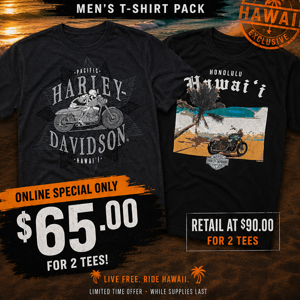 Harley-Davidson "Summer T-Shirt Pack" Special - Set of 2 Tees
