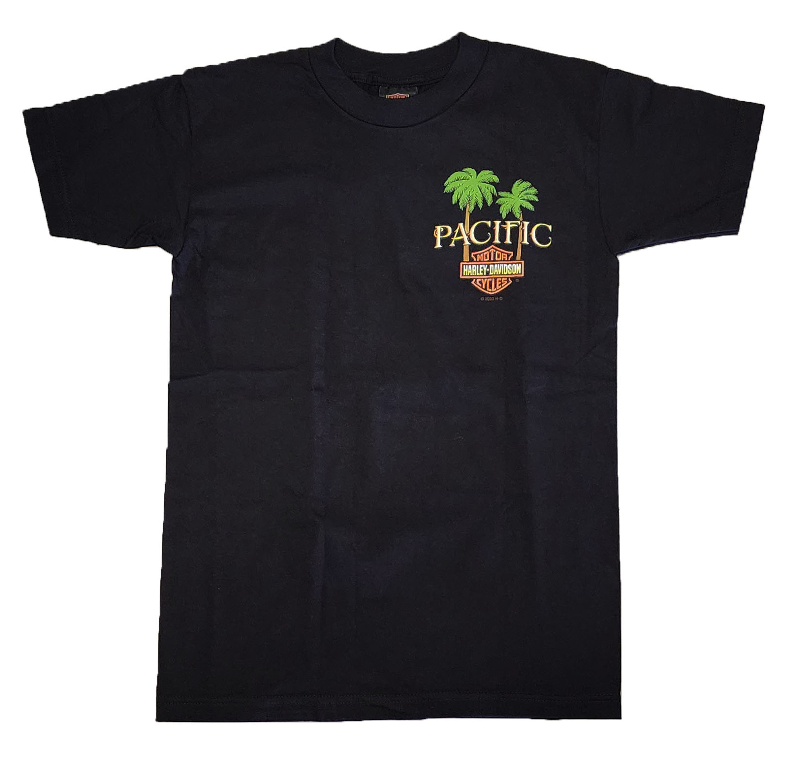 Harley-Davidson Men's Waimea Bay Black T-Shirt
