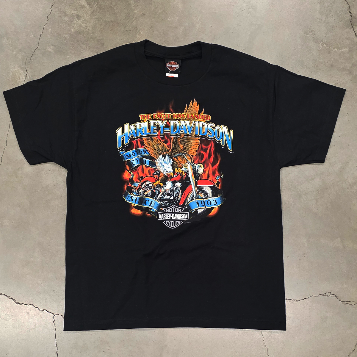 Harley-Davidson Men's Eagle Landed T-Shirt