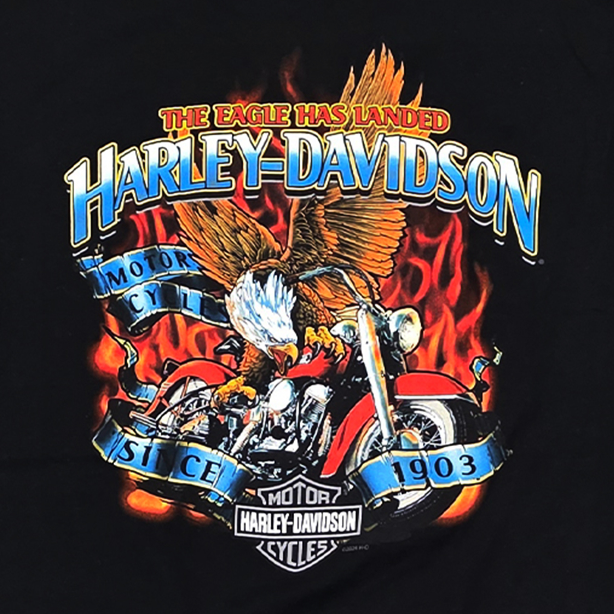 Harley-Davidson Men's Eagle Landed T-Shirt