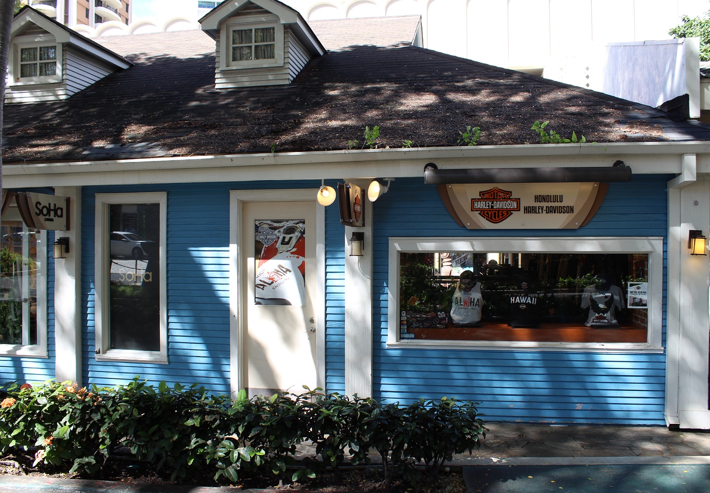 Harley Davidson Retail stores Location Honolulu Hawaii