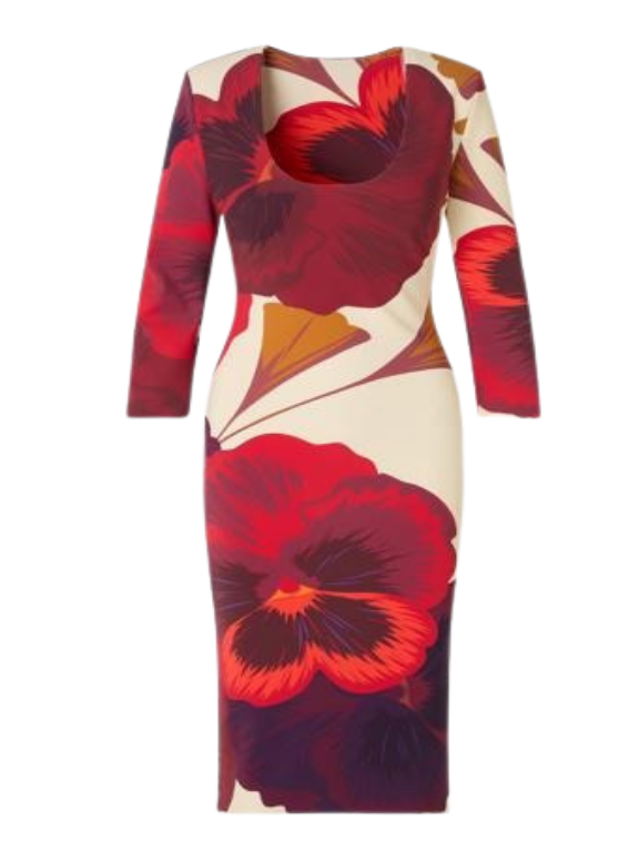 red chiara boni dress *VIRTUAL TRUNK SHOW* Chiara Boni La Petite Robe Addie Print ZP Dress