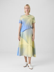 Akris Sunbeam Print Cotton Double-Weave Midi Skirt in Multicolor, Size 8