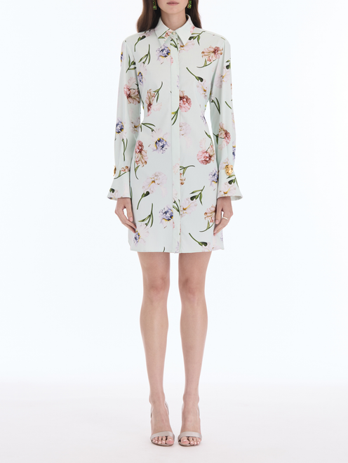 *VIRTUAL TRUNK SHOW* Oscar de la Renta Long Sleeve Painted Iris Poplin Day Dress