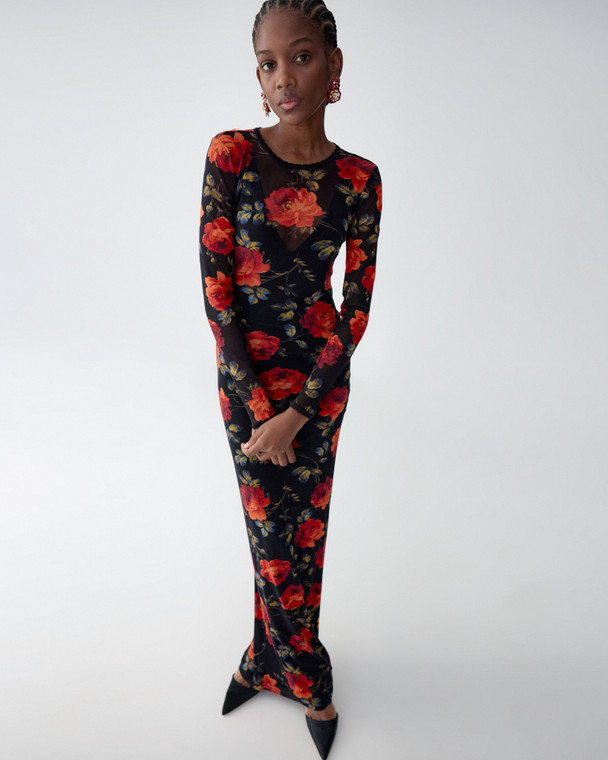 Carolina Herrera Rose-Print Mesh Midi Dress in Black/Multi