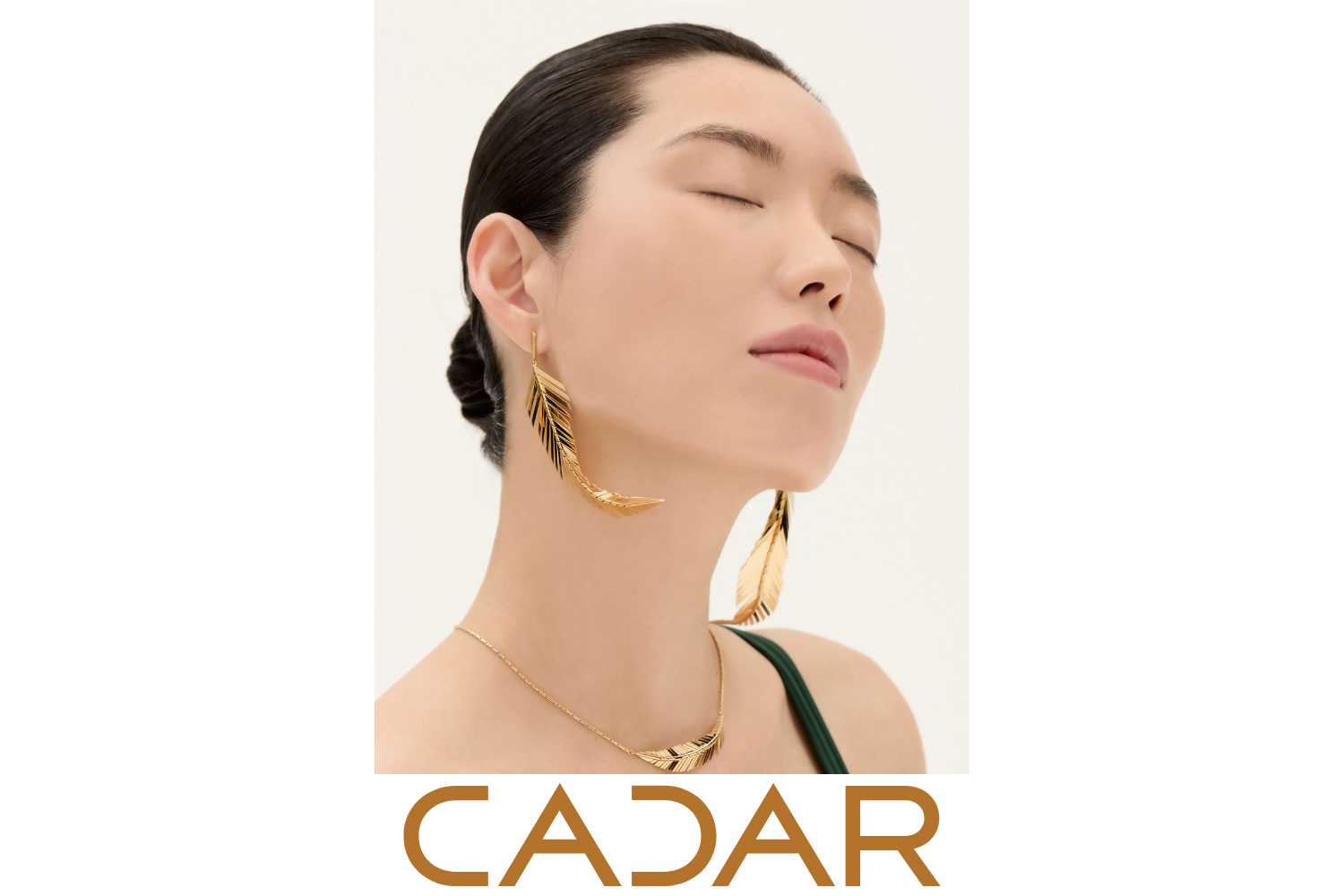 -newbioblurb-cadar-72026.png