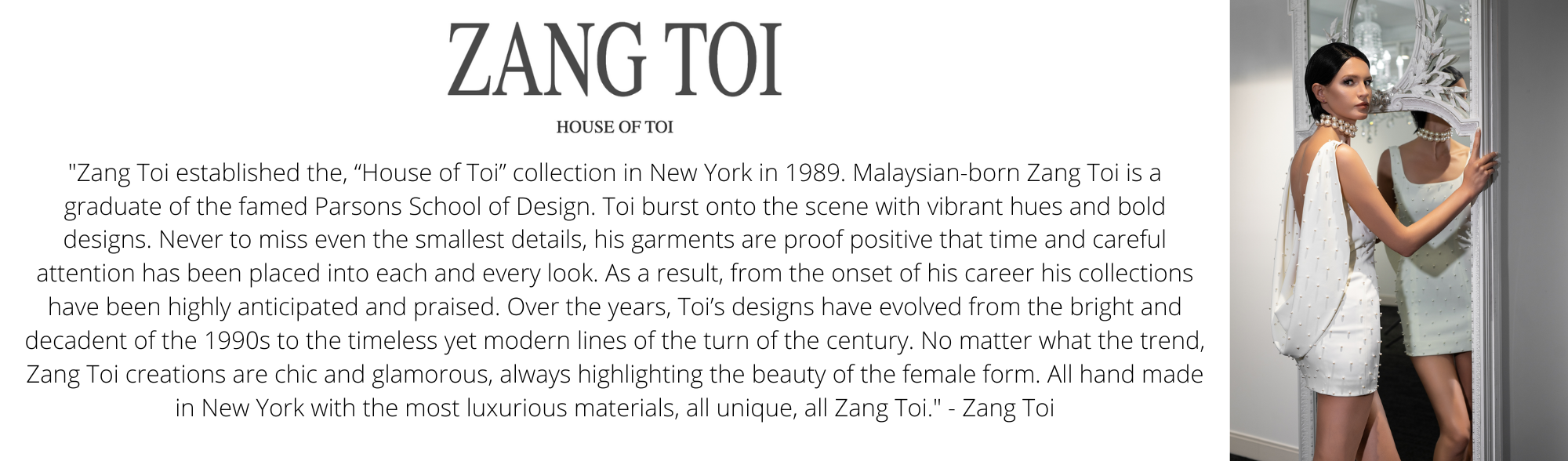 -zang-toi-bio-blurb.png
