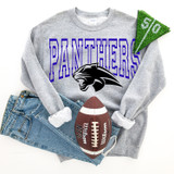 Panthers Blue DTF Heat Transfer