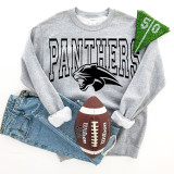 Panthers Black DTF Heat Transfer, black panther logo on gray sweatshirt with football, jeans, and green decor.