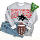 Panthers *CUSTOM COLOR OPTIONS* DTF Heat Transfer
