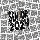 Senior 2024 Leopard Lightening Bolt Sticker Sheet