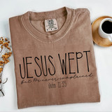 Jesus Wept But He Never Complained BLACK DTF Heat Transfer T-shirt, with inspirational biblical quote and scripture from John 11:35.