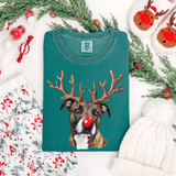 Christmas Reindeer Dog DTF Heat Transfer