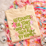 He Counts the Stars Psalm 147:4 DTF Heat Transfer