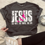 Distressed Jesus The Way, The Truth, The Life DTF Heat Transfer, black sweatshirt with Christian quote and pink hummingbirds design, casual wear for religious expression.