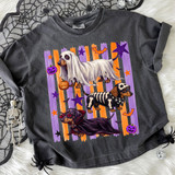 Halloween Dachshunds DTF Heat Transfer