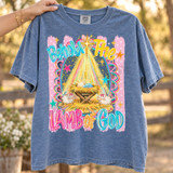 Behold The Lamb of God nativity DTF transfer with baby Jesus in a manger, Star of Bethlehem, lambs, and scalloped pink striped border Shown on a Blue Jean t-shirt.