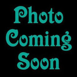 Delaware Home Leather Hat Patch