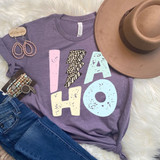 Idaho Pastels Distressed Leopard Lightning Bolt DTF Heat Transfer