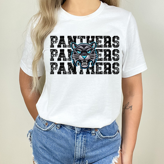 Panthers Stacked Faux Embroidery DTF Heat Transfer