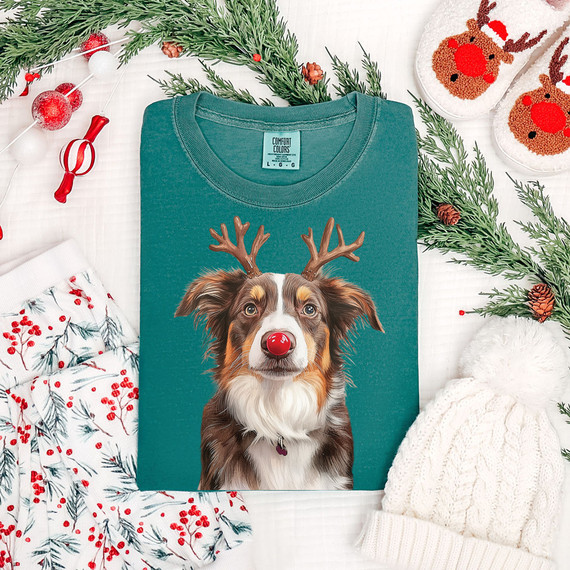 Christmas Reindeer Dog DTF Heat Transfer, image of a teal t-shirt with a festive dog wearing reindeer antlers and a red nose, surrounded by holiday decorations including socks, pine branches, and ornaments.