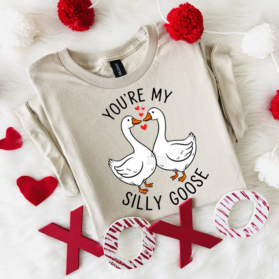 You're My Silly Goose DTF Heat Transfer