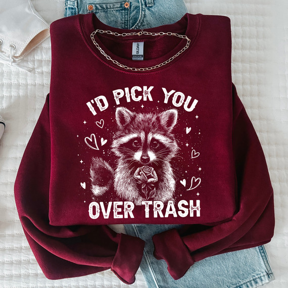 I'd Pick You Over Trash Raccoon DTF Heat Transfer