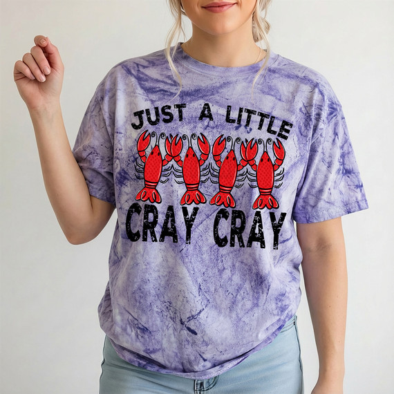 Just A Little Cray Cray DTF Heat Transfer