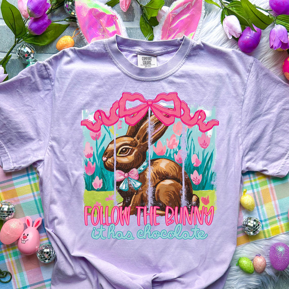 Follow The Bunny It Has Chocolate DTF Heat Transfer