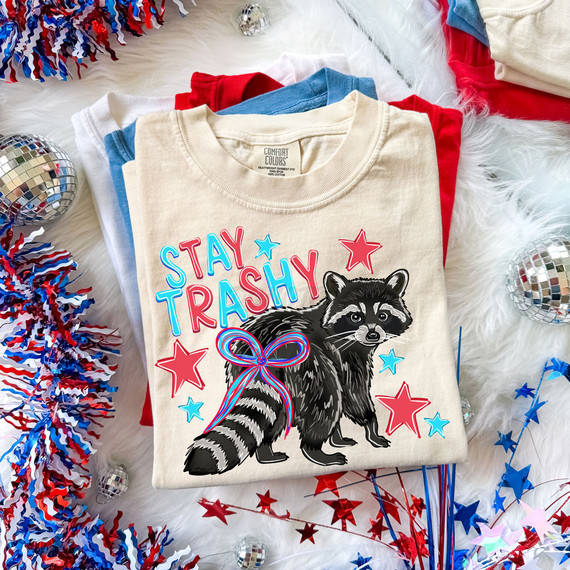 Stay Trashy Patriotic Raccoon DTF Heat Transfer