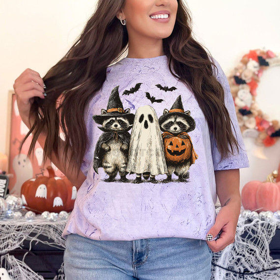 Halloween Raccoon Trio DTF Heat Transfer