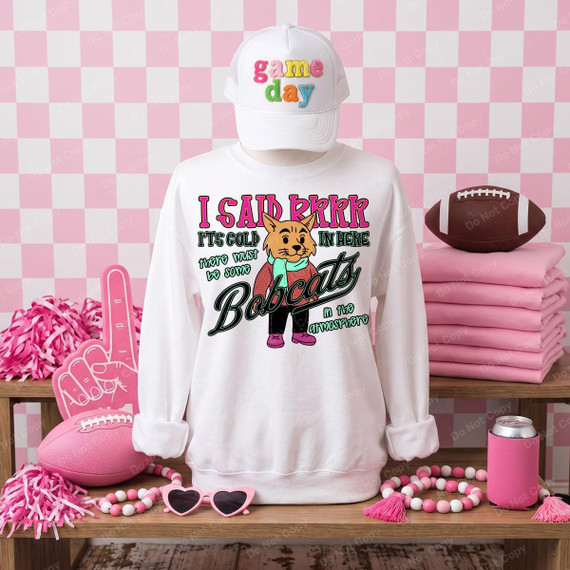 Brrrr It's Cold Out Mascots DTF Transfers | Winter Mascot Collection, featuring a colorful sweatshirt with a graphic of a bobcat and playful text, displayed among pink sports accessories and decorations.