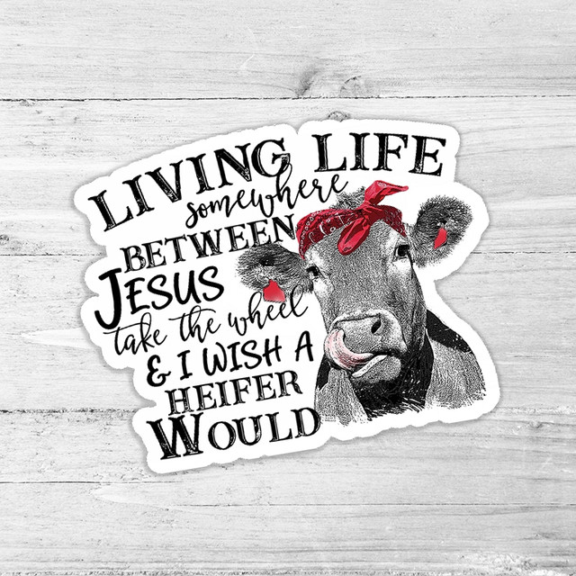 Somewhere Between Jesus Take The Wheel Die Cut Sticker, humorous cow with red bandana on its head and tongue out, featuring humorous and inspirational text about living life and wishing for a healer.