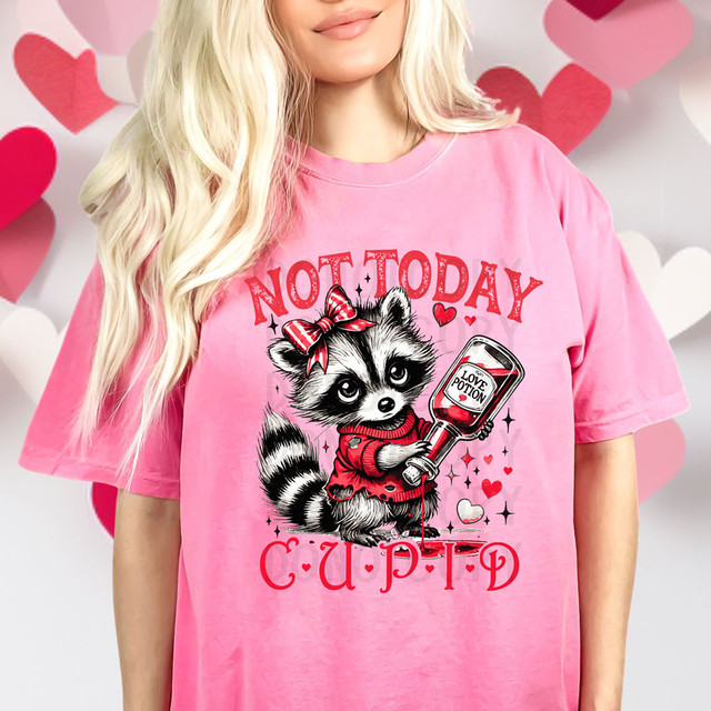 Not Today Cupid Raccoon DTF Heat Transfer, cute raccoon wearing a red dress and bow holding a love potion bottle with Valentine's Hearts around.