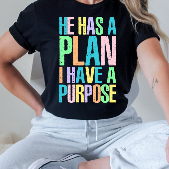 Colorful Distressed He Has A Plan I Have A Purpose DTF Heat Transfer