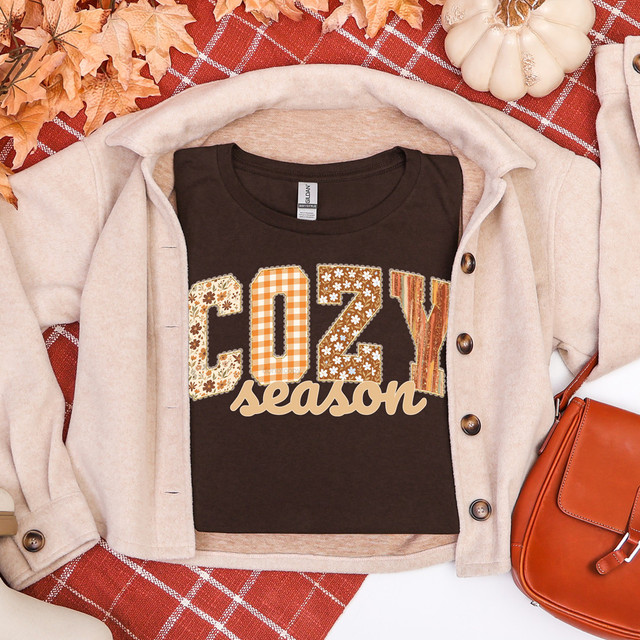 Cozy Season Fall Patterned DTF Heat Transfer, fall-themed patterned graphic with the text 'Cozy Season' on a black t-shirt, placed on a beige hoodie with autumn decorations.