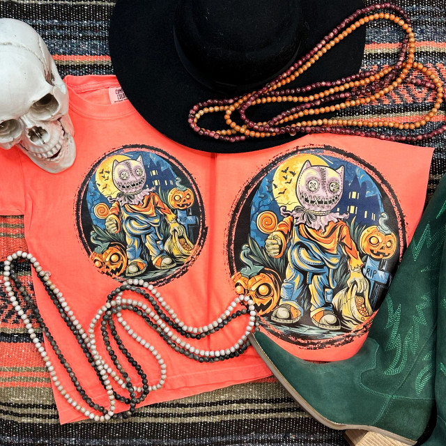 Sam The Cat YOUTH Screen Print Transfer, vibrant Halloween-themed T-shirt with a cartoonish scarecrow with a cat head, pumpkins, and moon in the background.