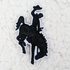 Black Rodeo Cowboy HAT/POCKET Patch