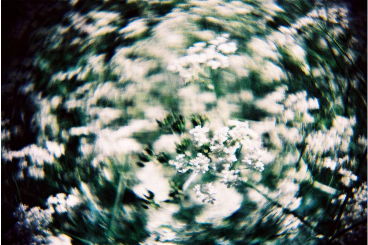 Lomography Konstruktor Flash SLR DIY Camera Berger Brothers