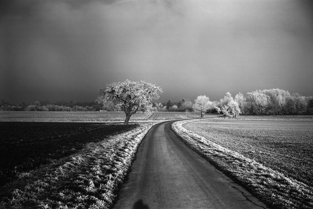 Leica MONOPAN 50 Black and White Negative Film (35mm Roll Film, 36
